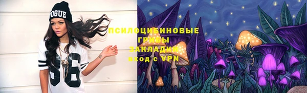 гидропоника Няндома