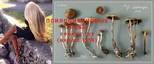 ALPHA-PVP Белокуриха